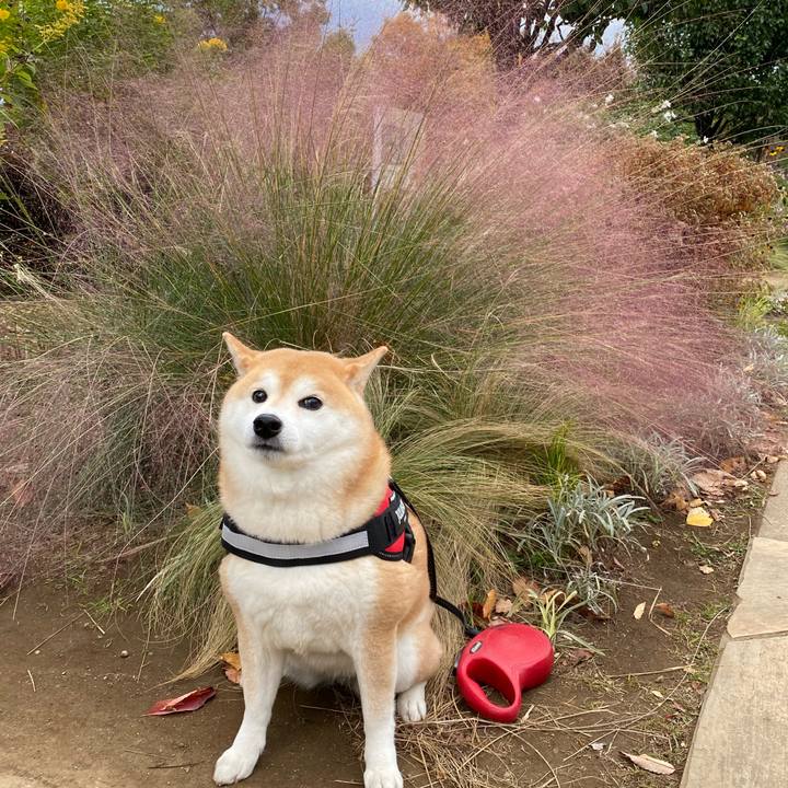 3d9afd0b 27d8 456c 94e1 3c35d5c09b3d 1667646148410