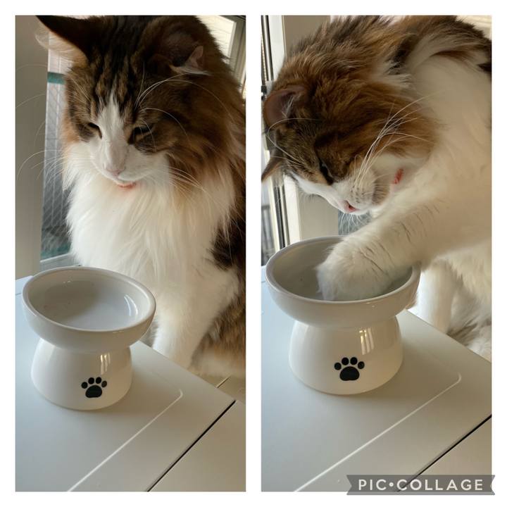 3d9b61b0 5a52 461d 8ed5 813897d88a45 1697407185108