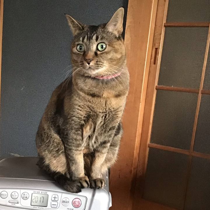 3d9b711e 7e92 4cc6 83eb 78885d8ae1f6 1735342046585