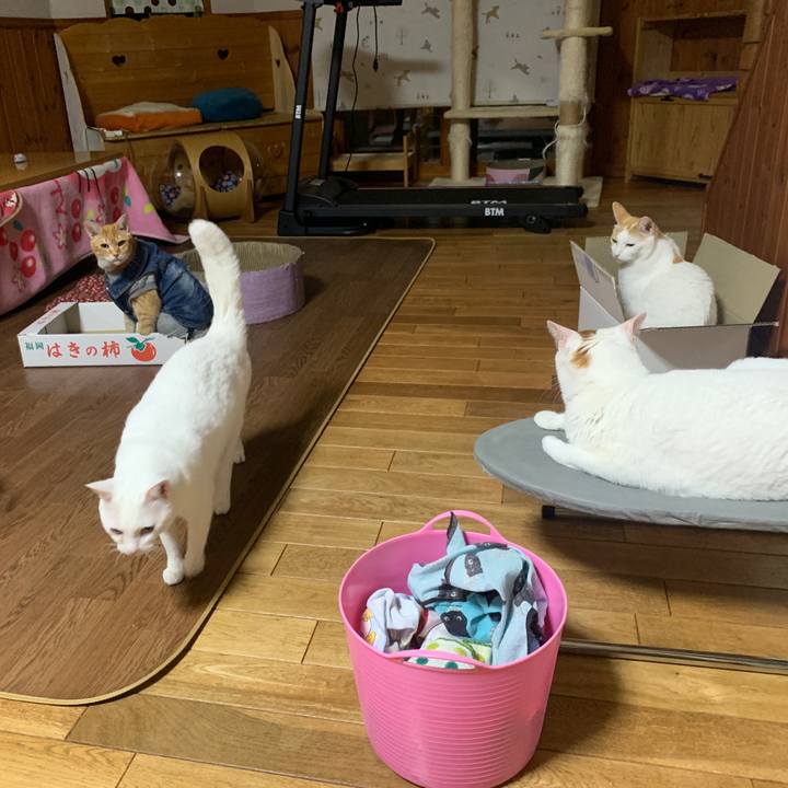 3d9b74d5 71d8 48ad a752 9b59dbecd73b 1644154262153