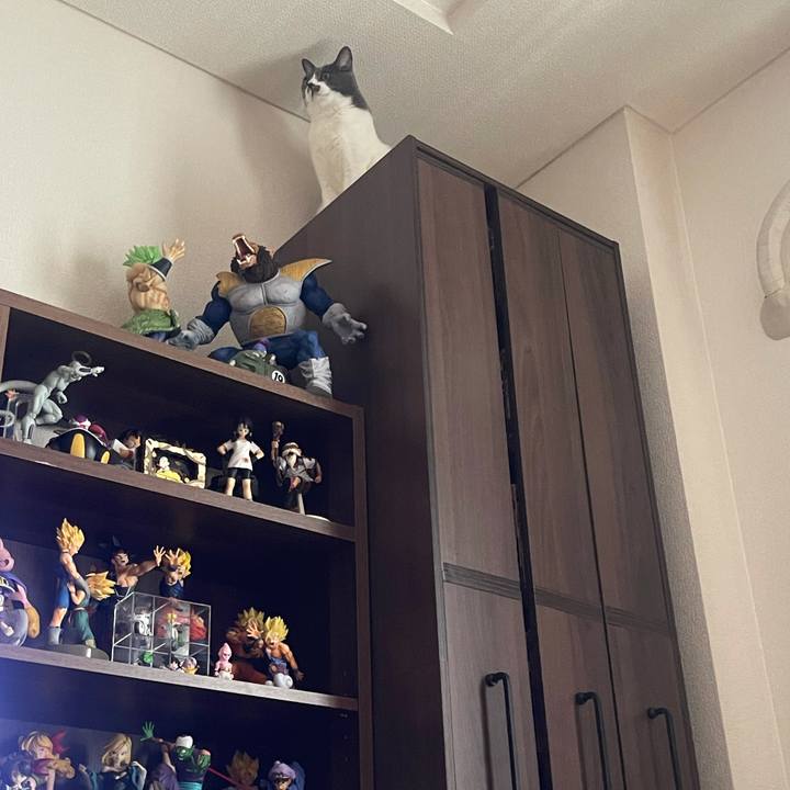 3d9b8e9e c627 4ab5 8ef8 9977eeb9ea62 1631077337976