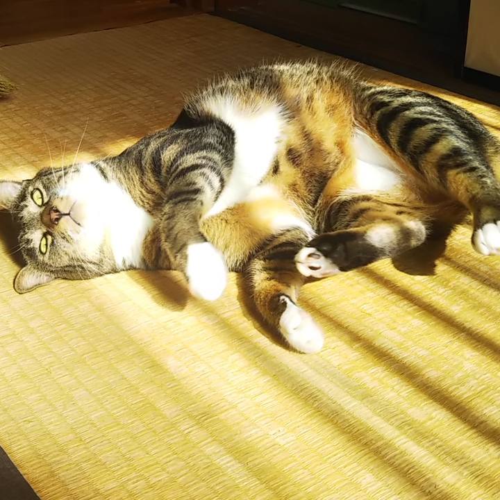 3d9bb005 ef6e 456e bbd6 5ff4f2b2d48e 1604409742378