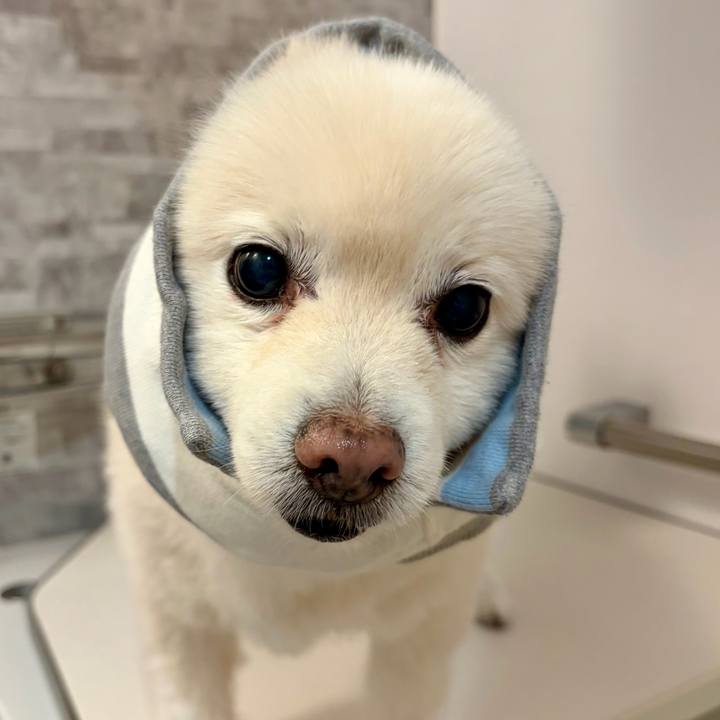 3d9bb32f 8088 4d3e a05a 365f190198bf 1768655196473