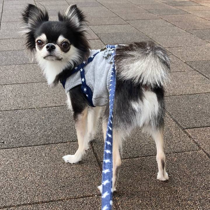 3d9c3043 12a8 4caa 9457 d2de6d1bfcc7 1640411937791