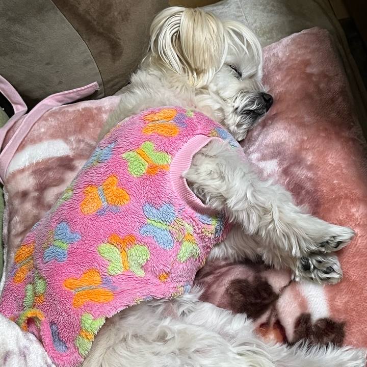 3d9c30c7 2bb4 442b a613 8f27264ef7bd 1673437054472