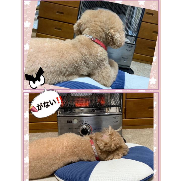 3d9c321c 4b23 4959 8952 e5e73523cb76 1543494292845