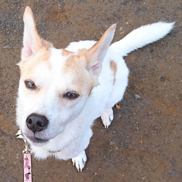 3d9c8e78 2844 4dad 8553 1cf63752a0f8 1569459119446