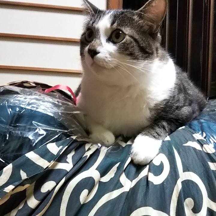 3d9c9206 927c 4250 9217 60f2f0ad9bfd 1603590301973