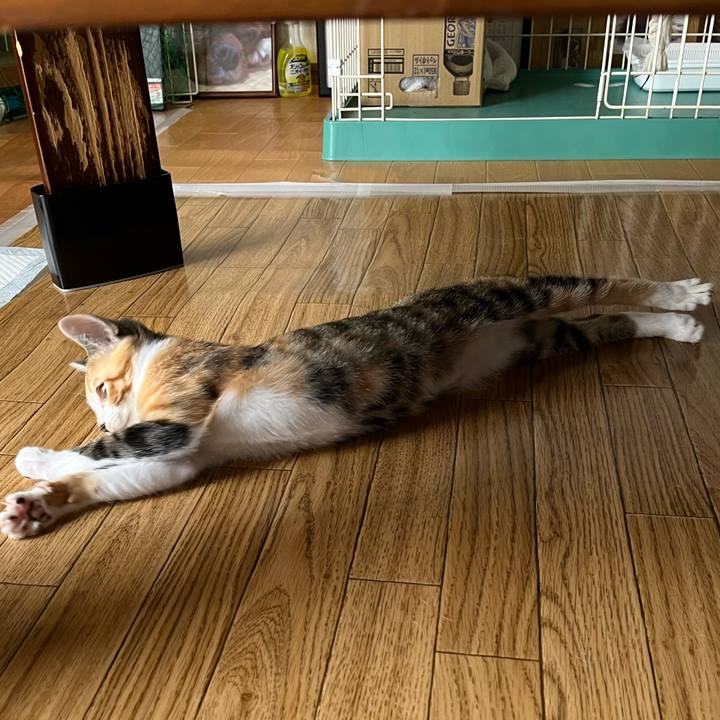 3d9d4020 f88b 4312 8b23 4b32afa7d145 1656201791690