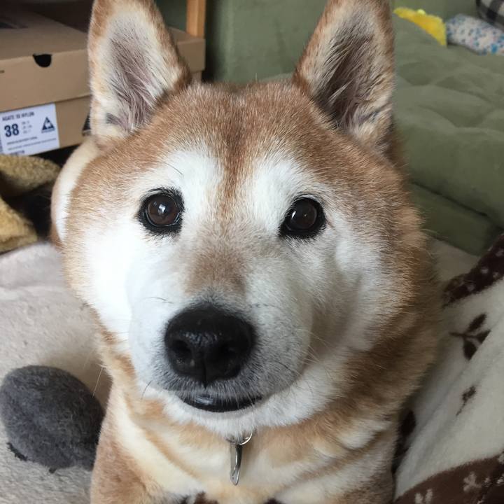 3d9e1f18 59fb 42b7 9af2 59613ffc3d03 1549544885530