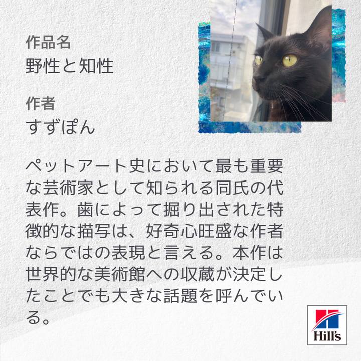 3d9e46a0 7d1c 4ac3 8596 b3f2694f0f1b 1603025712213