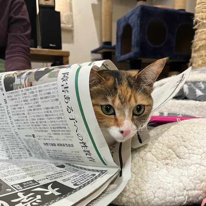 3d9e7fcb 3bd8 4a27 8710 83118a095f52 1677117493301