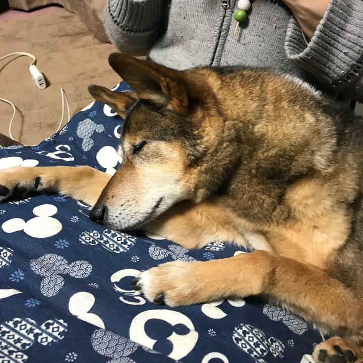 3d9e85bd 7baa 4335 ad3e fc644e324ca3 1523368799749