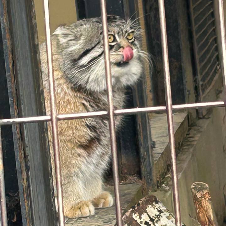 3d9ecb04 8f6f 4a2d 8630 8a067187c863 1773468505879