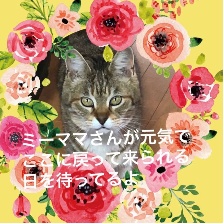 3d9ee7c7 65c5 4b4f 83f8 97fb032610d6 1665935451987