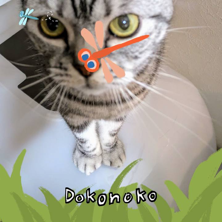 3d9ef328 83ba 44c4 a97b b236f1aa3fa2 1727007491163