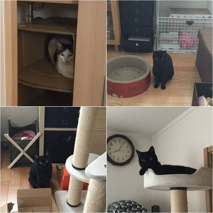 3d9f11c1 3757 4d07 a15d dc335bdd4b00 1523404113901