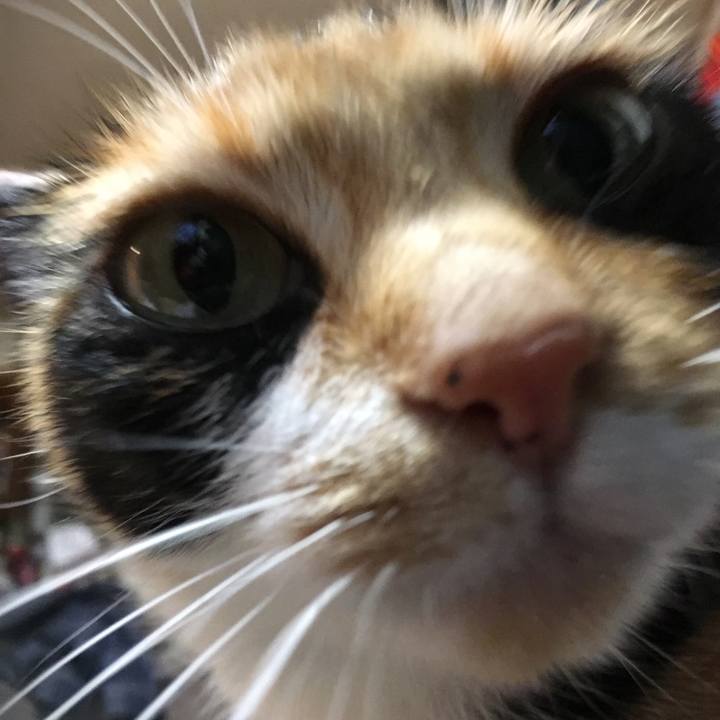 3d9f1f87 1973 40d3 86db 4f19ad1770c7 1511692623575