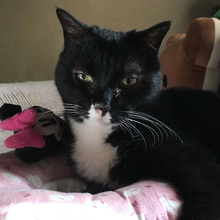 3d9f2285 ed7b 4f3c bb64 5bced6c729cd 1558819607095