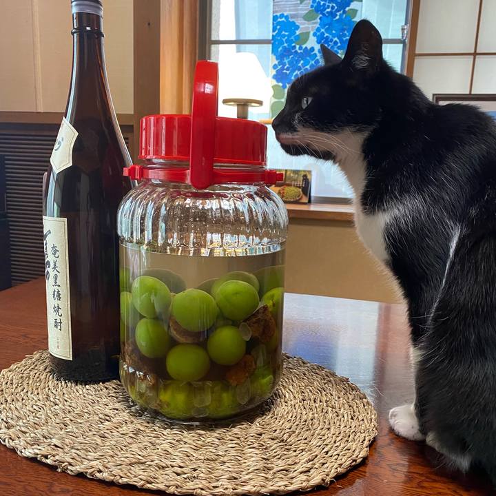 3d9f486f 68fd 49c5 8a30 4111a47c76dd 1621999502197