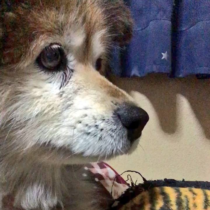 3d9f6193 eeed 406d 87bb 6407982506b3 1595181029541