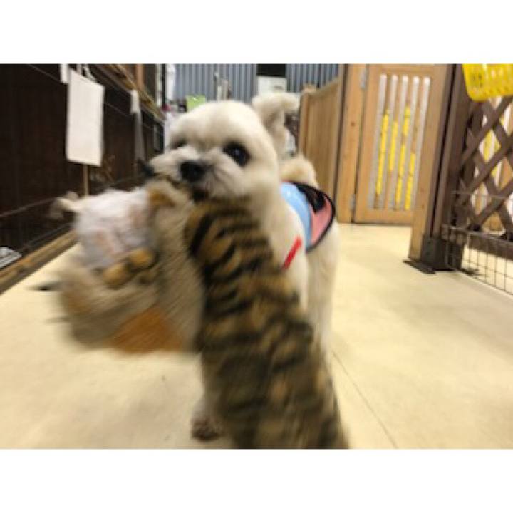 3d9fa415 3064 4595 a14c f6450af560e9 1537441369166