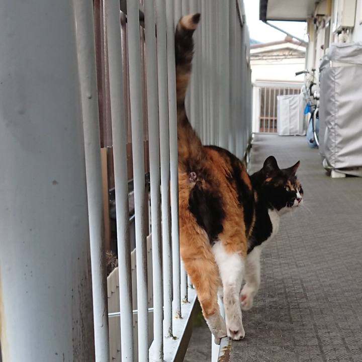 3d9fa696 2c96 4b8c 8166 a59fb49aa42b 1648888517073