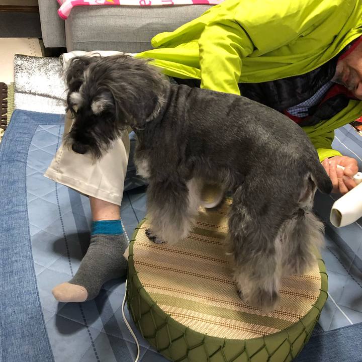 3d9fa97d 234b 46af b5a8 b8303d31c760 1700055947067