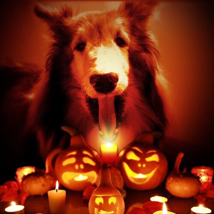 3d9faf26 8a03 4e6c 8c72 80b5e9029b7f 1509458791683