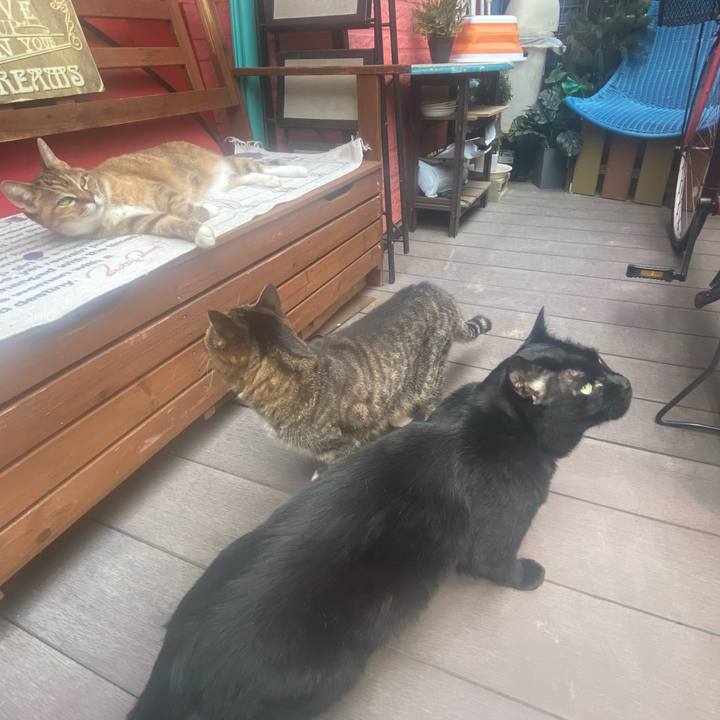 3d9fc579 9b4e 4a2c a17c 33072b6f85a2 1749350506455