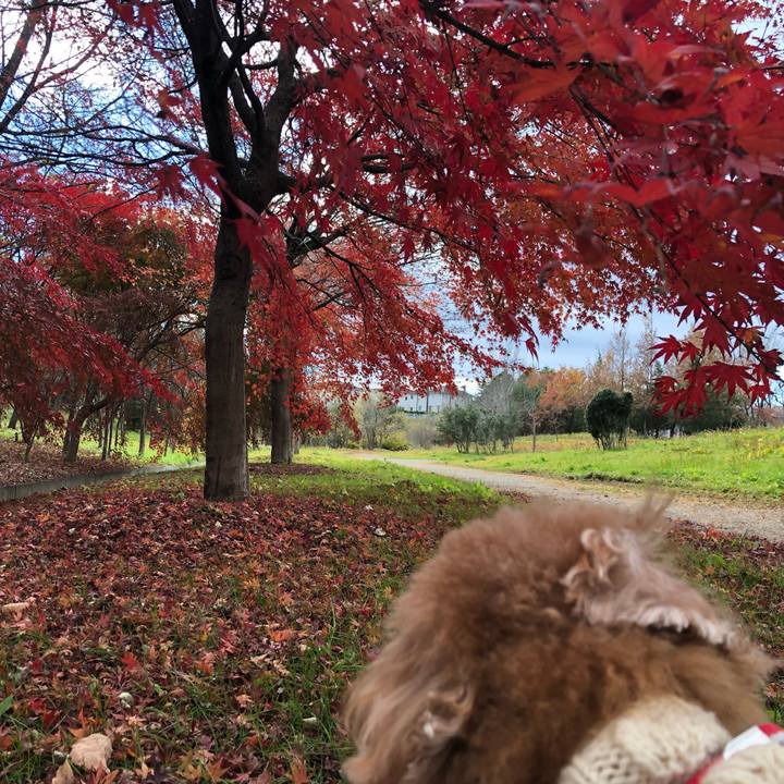 3d9fc7e6 dafc 42f1 b800 d52f2bc7b490 1637635730226