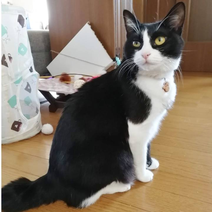 3d9fc91f 97c0 424e 84d5 585ec7c83c6f 1570674487683