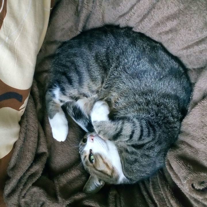 3d9fdaa8 9558 4184 b007 28777e308427 1523315221451