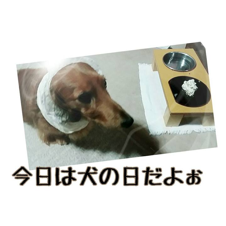 3d9fe7e4 8284 4c0f 92e6 42686d2d9eaa 1510400165265