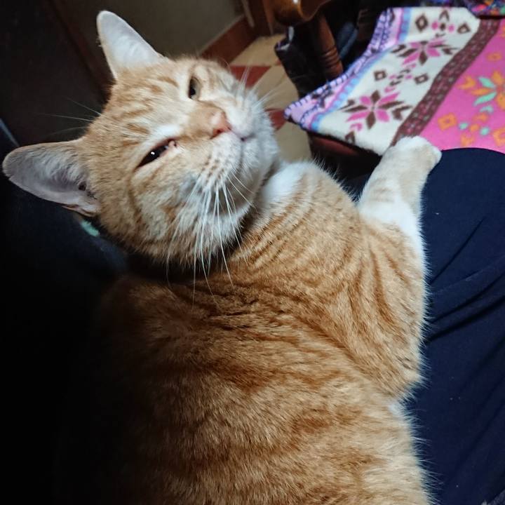 3d9fe982 4cf2 47b3 a043 e0e818e12627 1578559885102