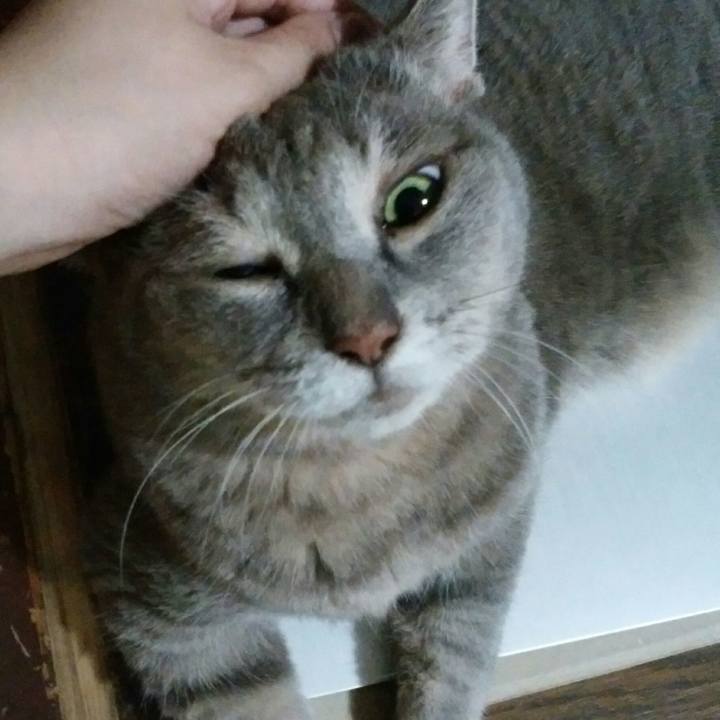 3d9feb86 6cdf 4fbe ad49 9f0d8cecbc0b 1597137026825