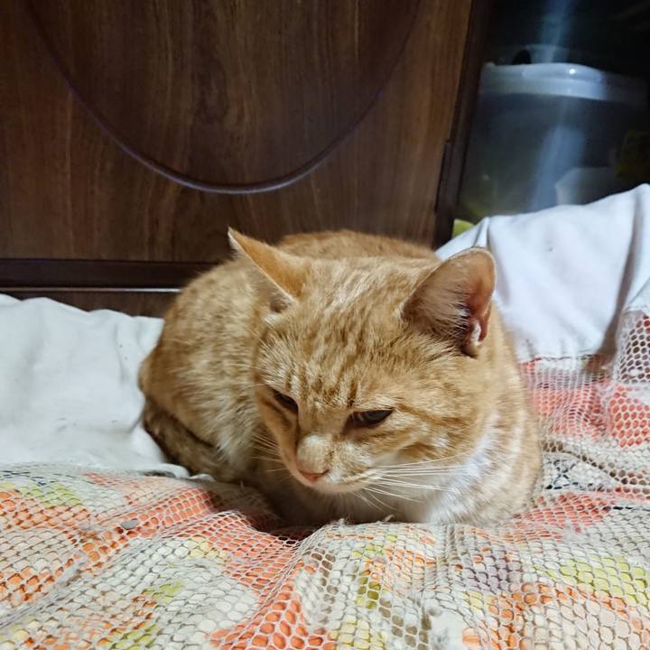 3d9ff8ac 4701 4ded aa2c 861b1392f332 1584707016875