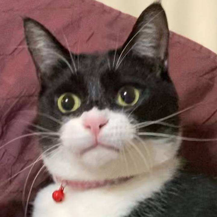 3da00f89 2d9e 4fe4 b8d6 fd4cb2a96d43 1618572971206