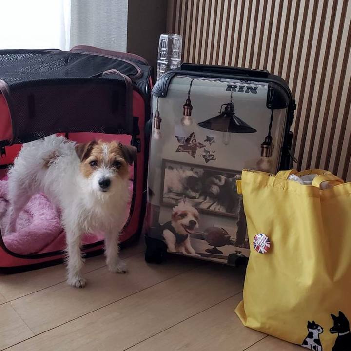 3da02013 67ae 4943 9927 4800bb3443eb 1625876359693