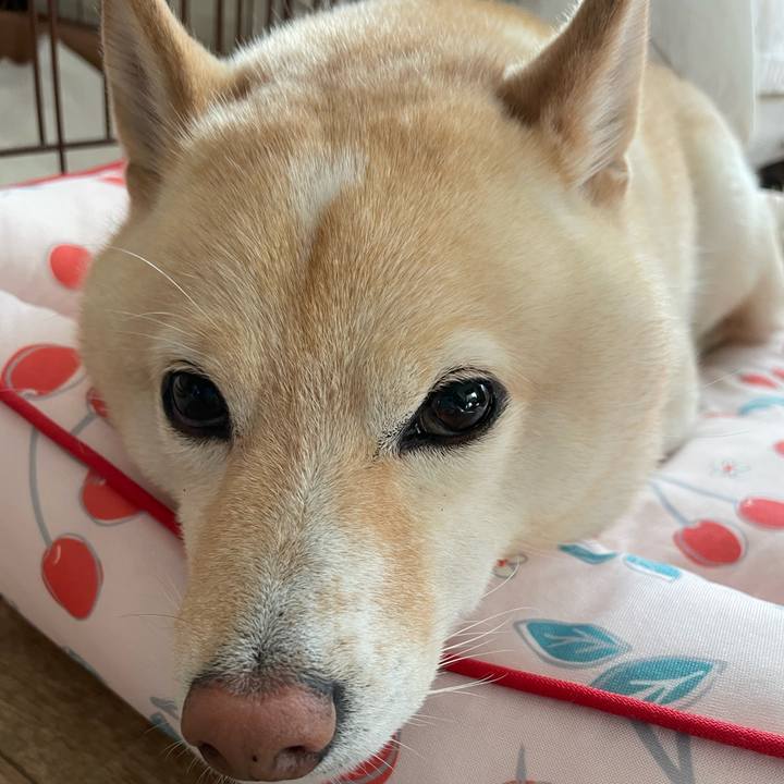 3da02835 d396 455e 9d32 e64baa8d1bd5 1696286697178