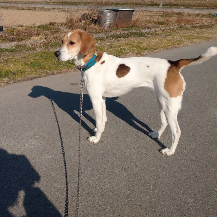 3da030f0 5aac 4039 bff3 f0f470bdf658 1611206632933