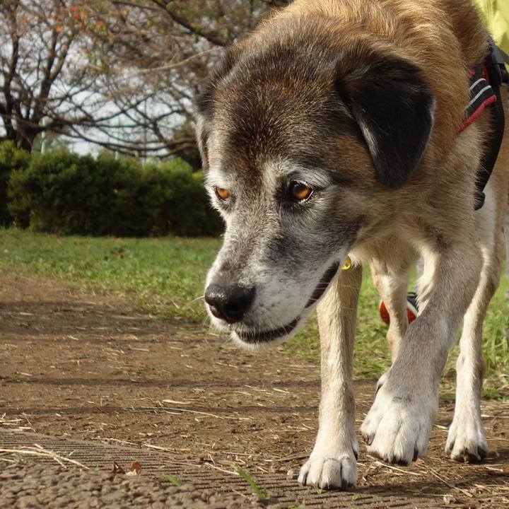 3da03733 e1f0 41ef 8a21 0582dd1deca8 1572740033875