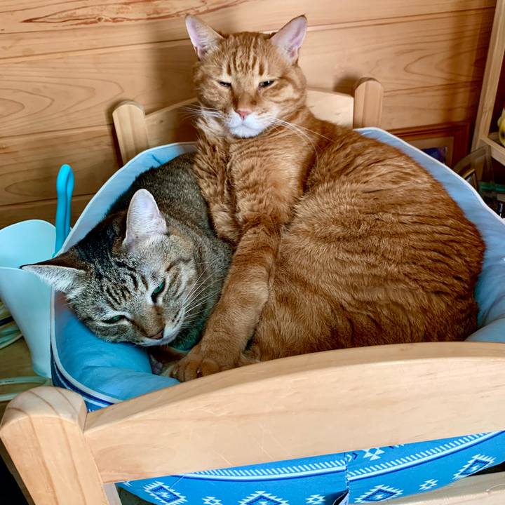 3da037ed db6f 4898 8cb6 79fb4bddd80c 1640137890288