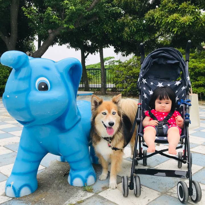 3da04295 eaeb 4f3d 9c7c 218af9487b29 1591431257776