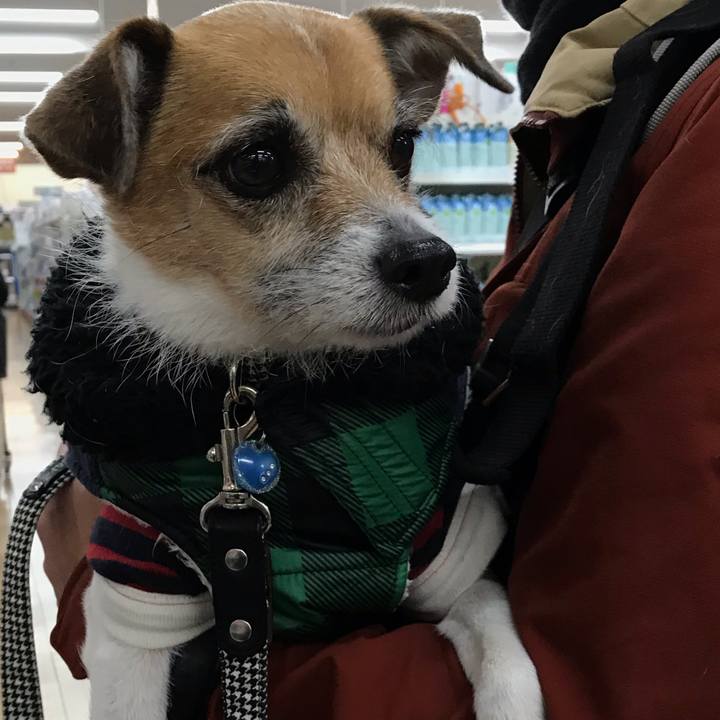 3da0441e 944a 4241 a08e 0da5891f4de8 1547356695443