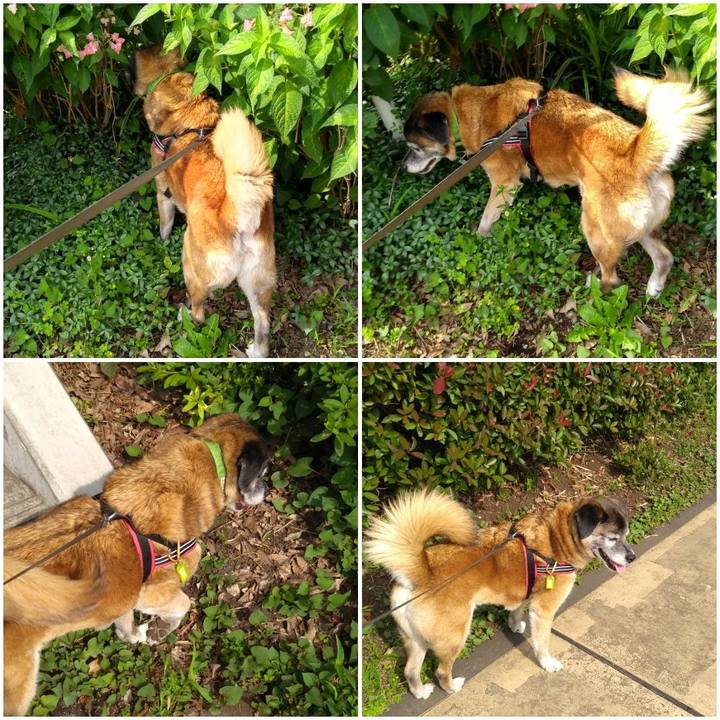 3da07037 fc83 43d2 8c60 1b70e8e0cc1d 1561591792259