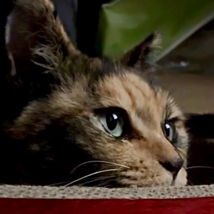 3da073bd a9e3 4121 961b 300963f0b557 1754736037579