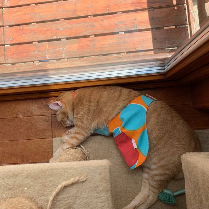 3da07a31 ddab 4c04 b8f7 c0292c01e85a 1563165400719