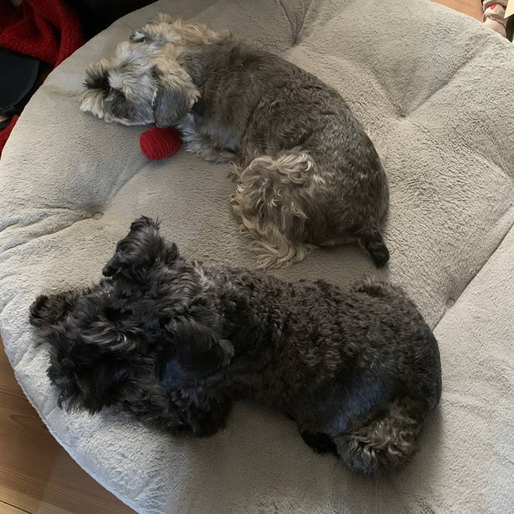 3da0f506 6ad1 44e3 94b2 091b7b297d1f 1679188329713