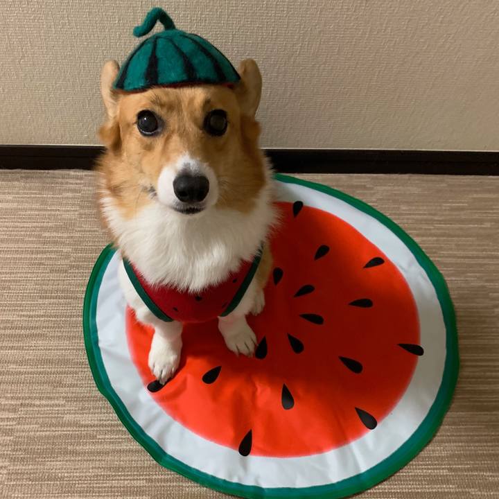 3da12152 e5ad 4ff8 abbb 91fc12fd668f 1564708862944